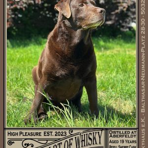 0,1l Aberfeldy 19 Jahre „Justus Edition“ – Refill Sherry Cask & 18 Months French Shiraz Red Wine Finish – The Fine Art of Whisky – max. 2 Flaschen p.P  Haushalt – Versand startet ab dem 24. Mai 2025