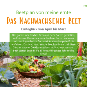 Digitaler Beetplan „Das Nachwachsende Beet“ zum Download