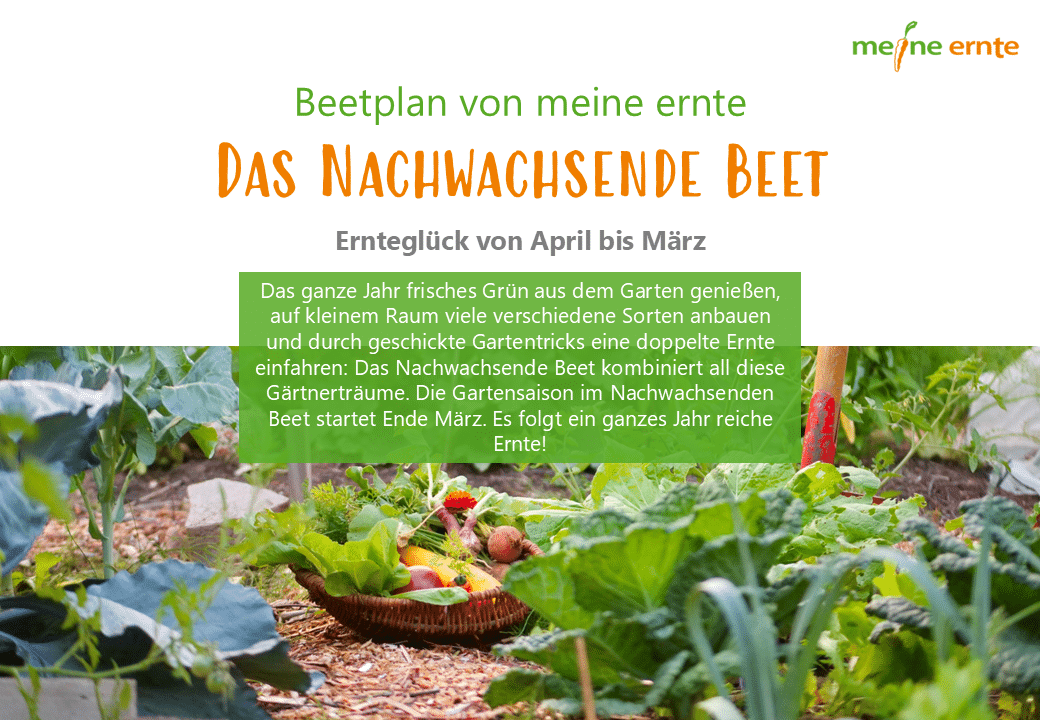 Digitaler Beetplan „Das Nachwachsende Beet“ zum Download