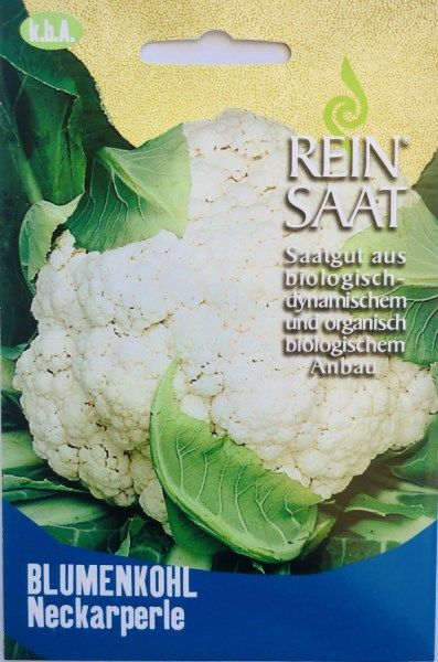 Blumenkohl “Neckarperle”