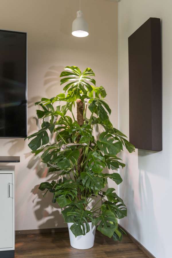 E27 SAGA Lampenschirm – Bild 8