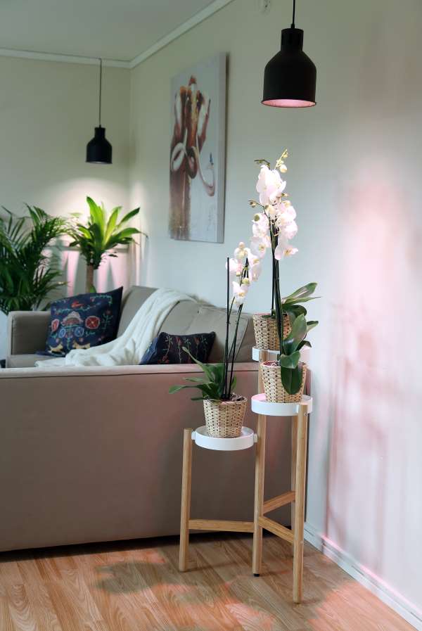 E27 SAGA Lampenschirm – Bild 4