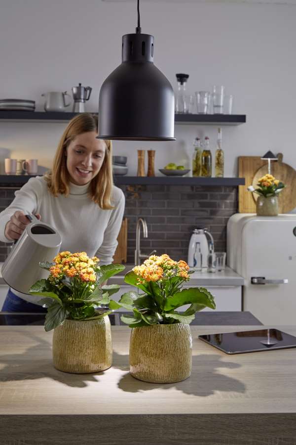 E27 SAGA Lampenschirm – Bild 2