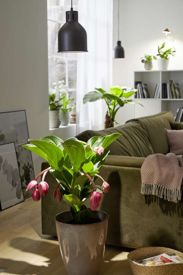 E27 SAGA Lampenschirm – Bild 9