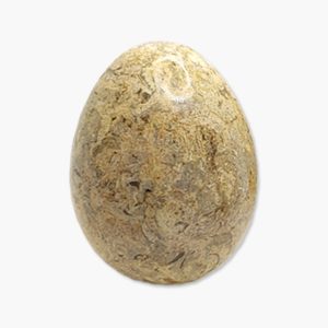 Marmor Ei Fossilienmarmor groß