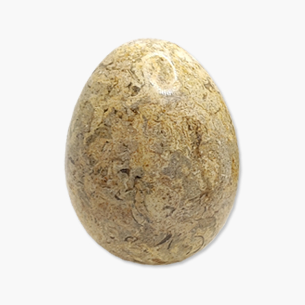 Marmor Ei Fossilienmarmor groß