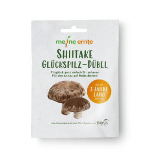 Shiitake Glückspilz-Dübel, Pilzzucht