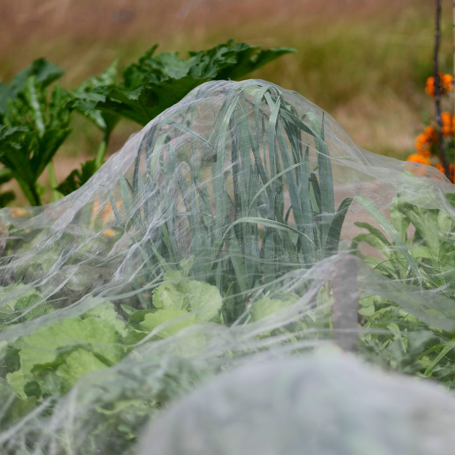 Kulturschutznetz 2,0×4,0 m meine ernte