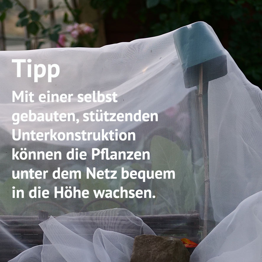 Kulturschutznetz 2,0×4,0 m meine ernte – Bild 6