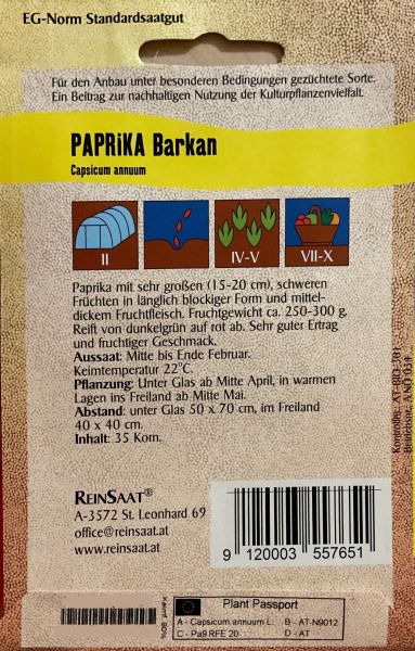 Paprika “Barkan” – Bild 2