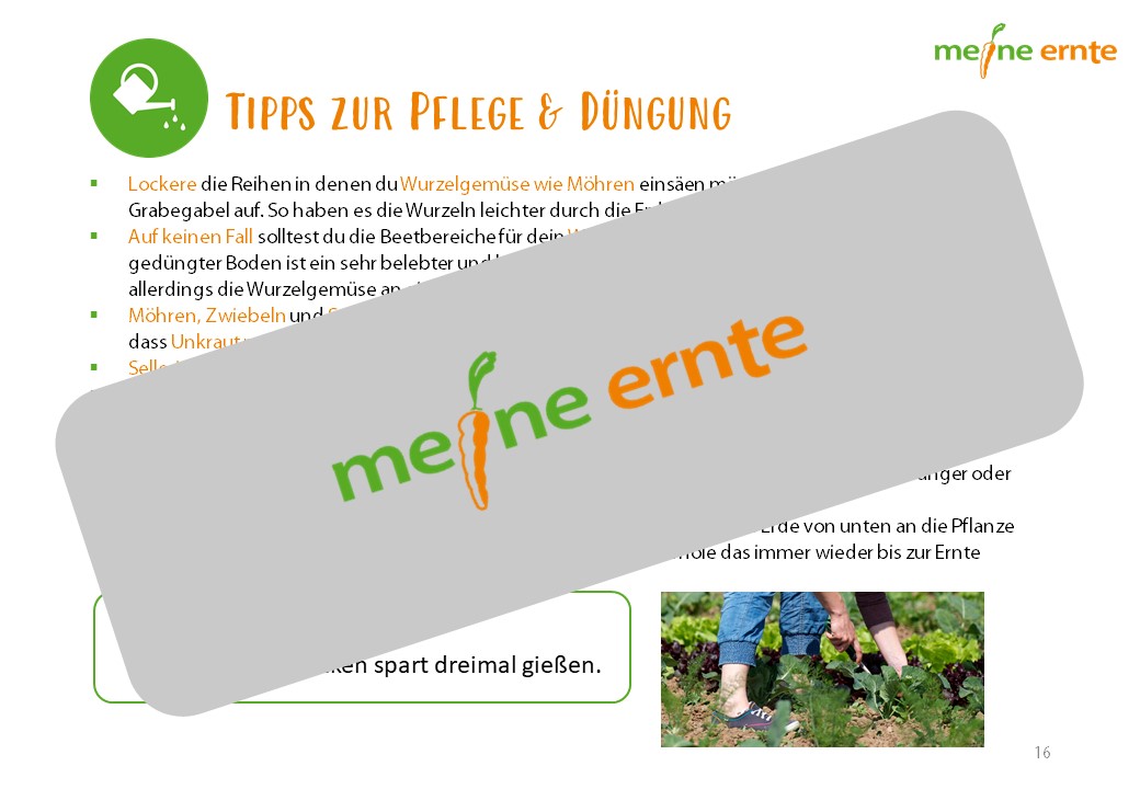 Digitaler Beetplan „Das Nachwachsende Beet“ zum Download – Bild 3