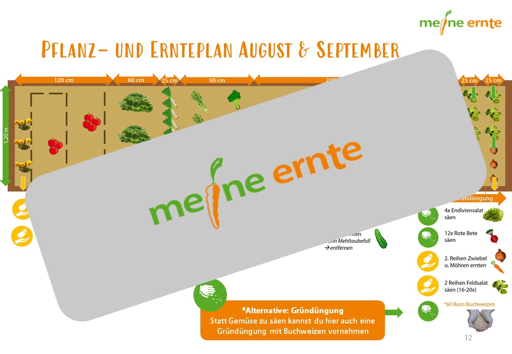 Digitaler Beetplan „Das Nachwachsende Beet“ zum Download – Bild 5
