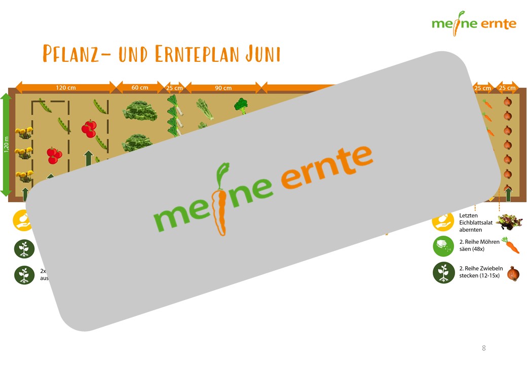 Digitaler Beetplan „Das Nachwachsende Beet“ zum Download – Bild 4
