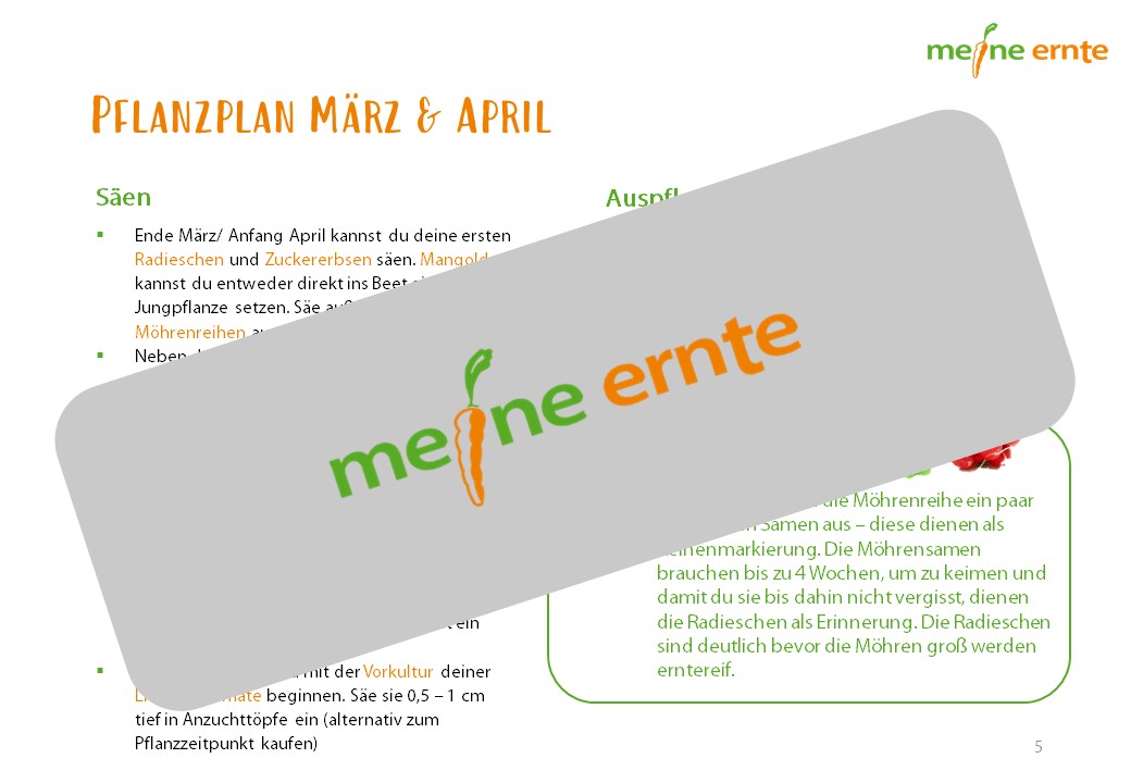 Digitaler Beetplan „Das Nachwachsende Beet“ zum Download – Bild 2