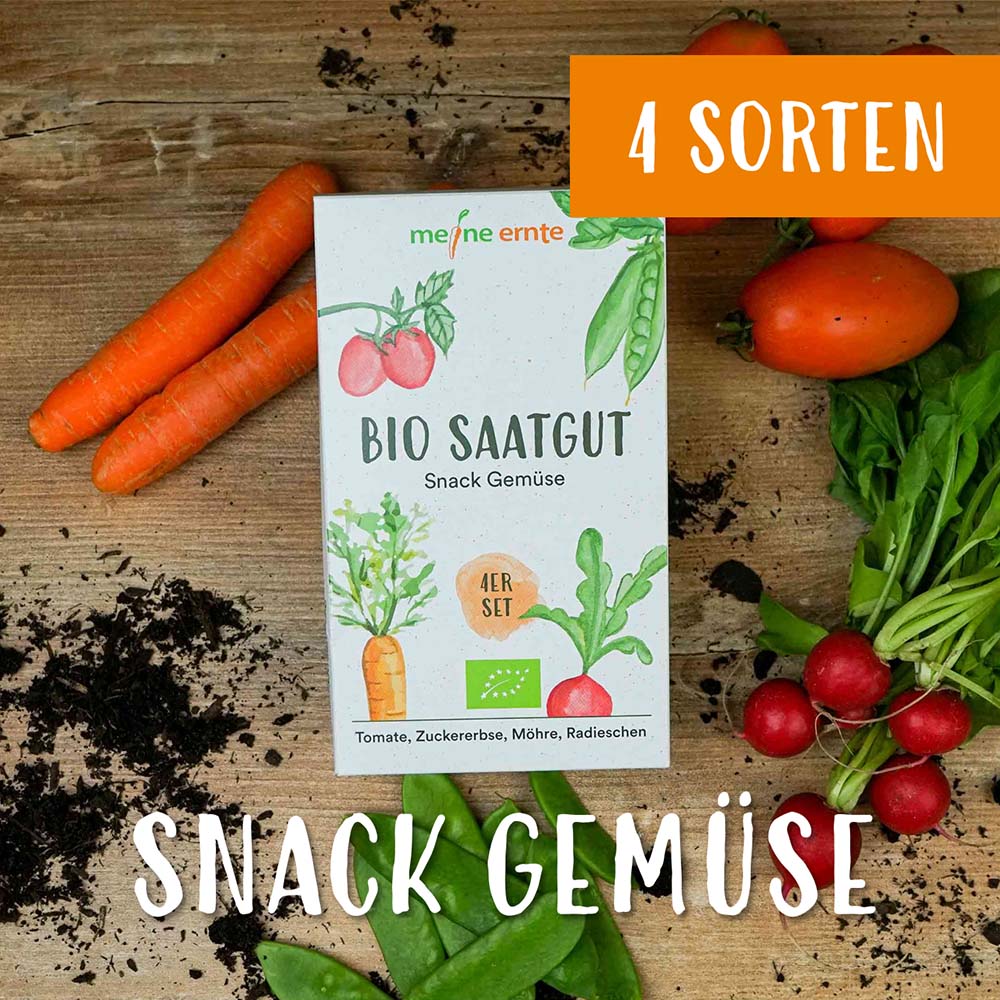 BIO Saatgut 4er Set “Snack Gemüse”, meine ernte