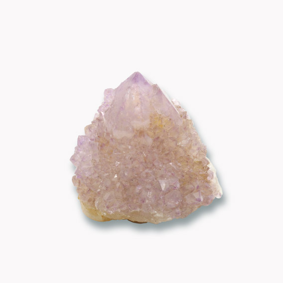 Kaktus Amethyst Spitze aus Südafrika – Bild 2